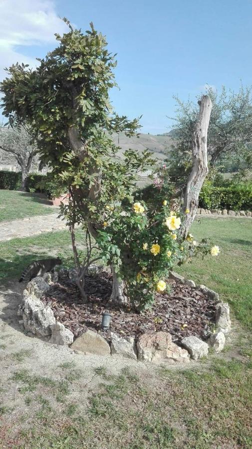 Agriturismo Casa Al Povero Volterra Buitenkant foto